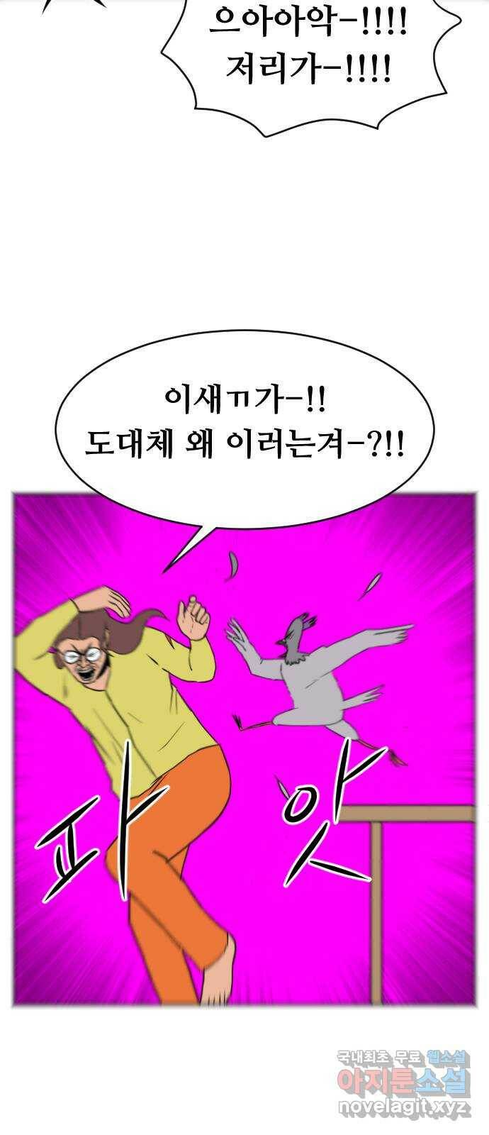 언덕 위의 제임스 356화 비둘기 전쟁 (2) 14