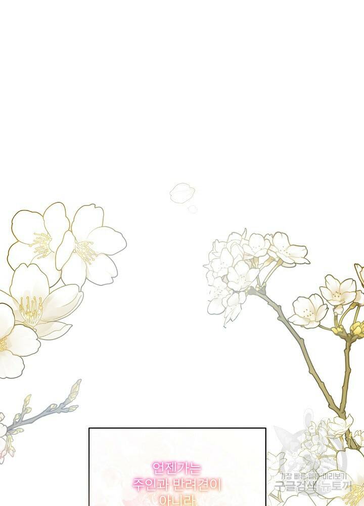 남주를 임시보호 중입니다 19화 100