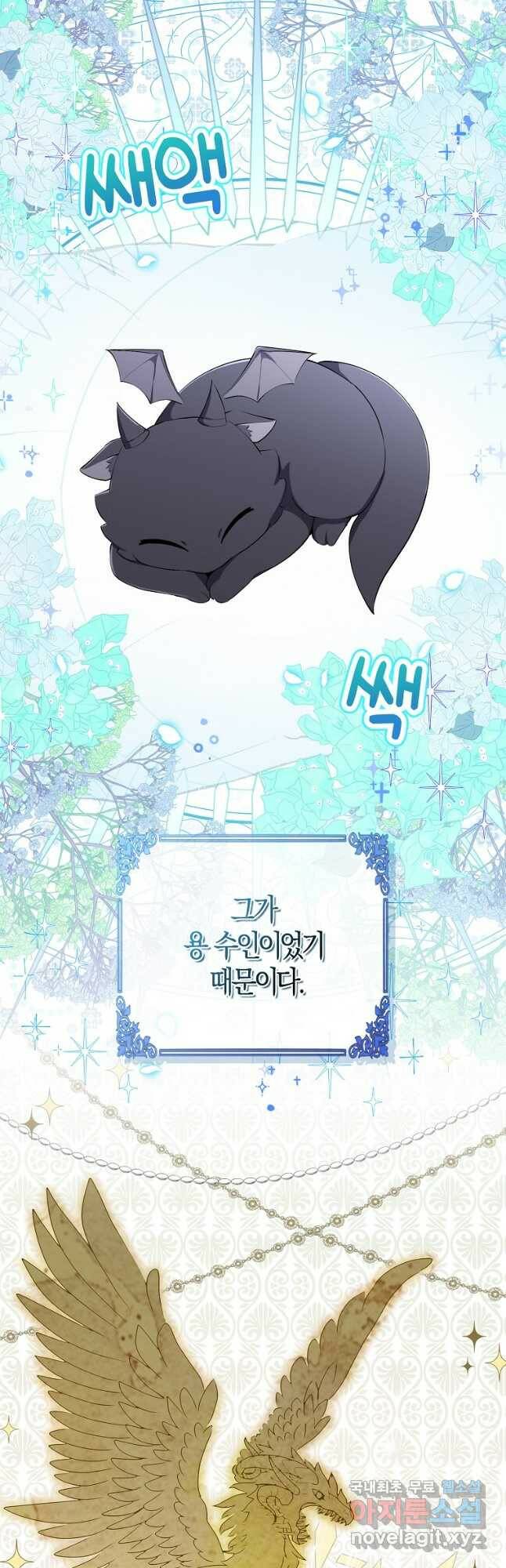 아기 다람쥐가 다 잘해요 31화 4