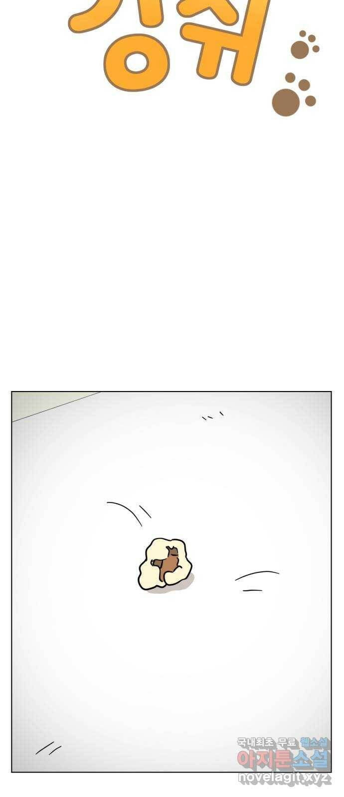 마루는강쥐 25화. 이빨 요정을 만나고 싶어! 11