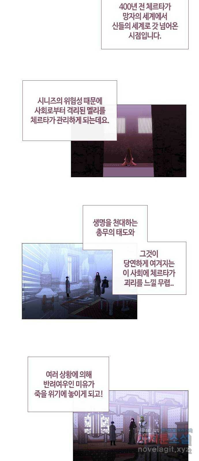 트럼프 후기 7
