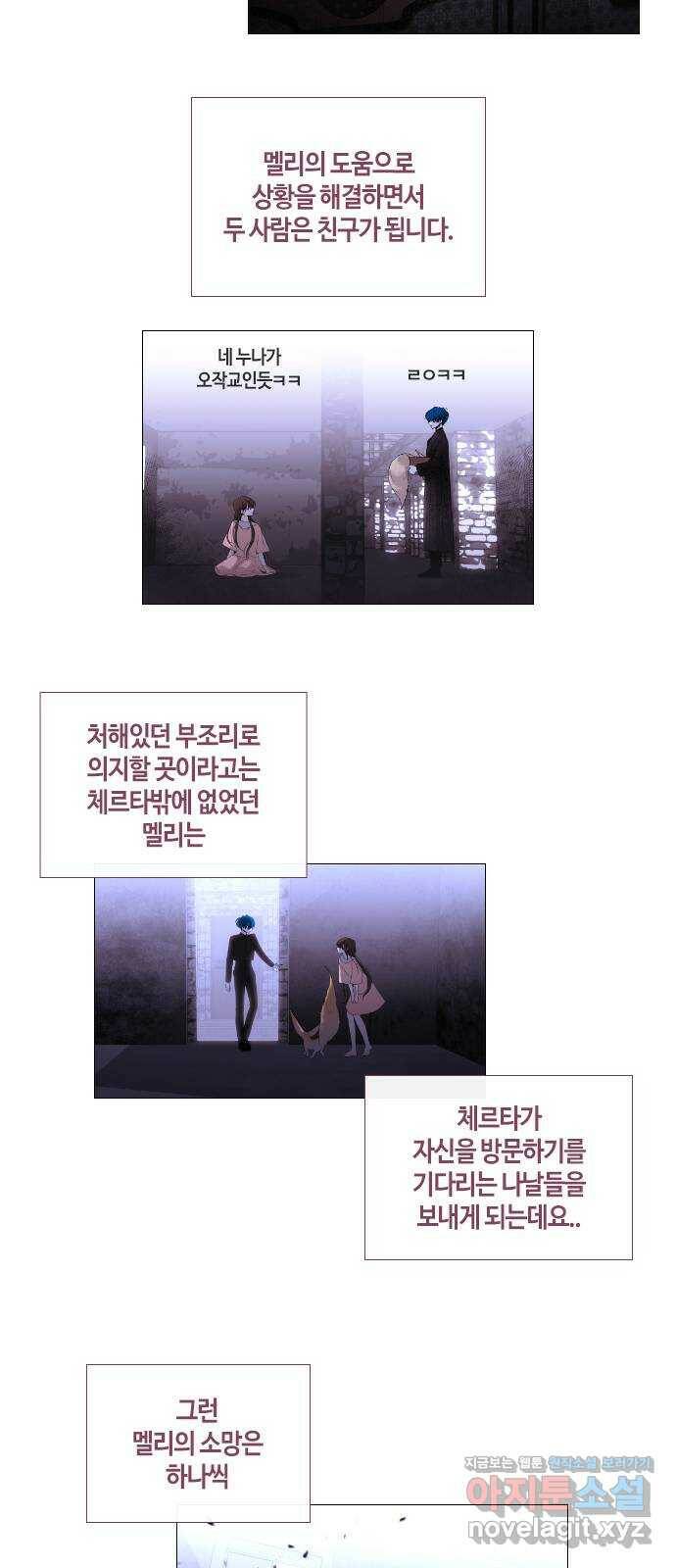 트럼프 후기 8