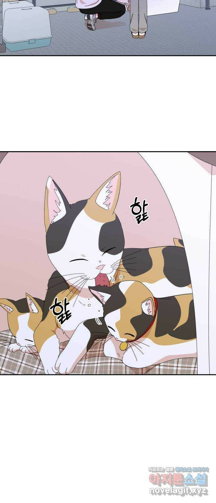 입술이 예쁜 남자 39화 5