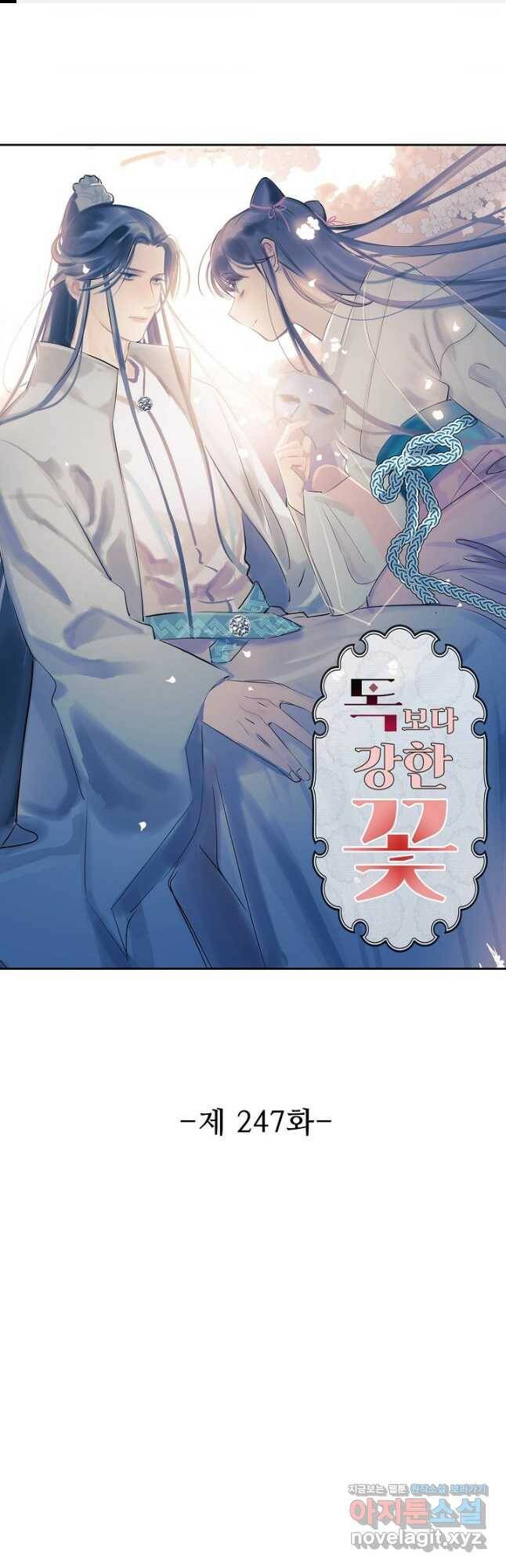독보다 강한 꽃 247화 1