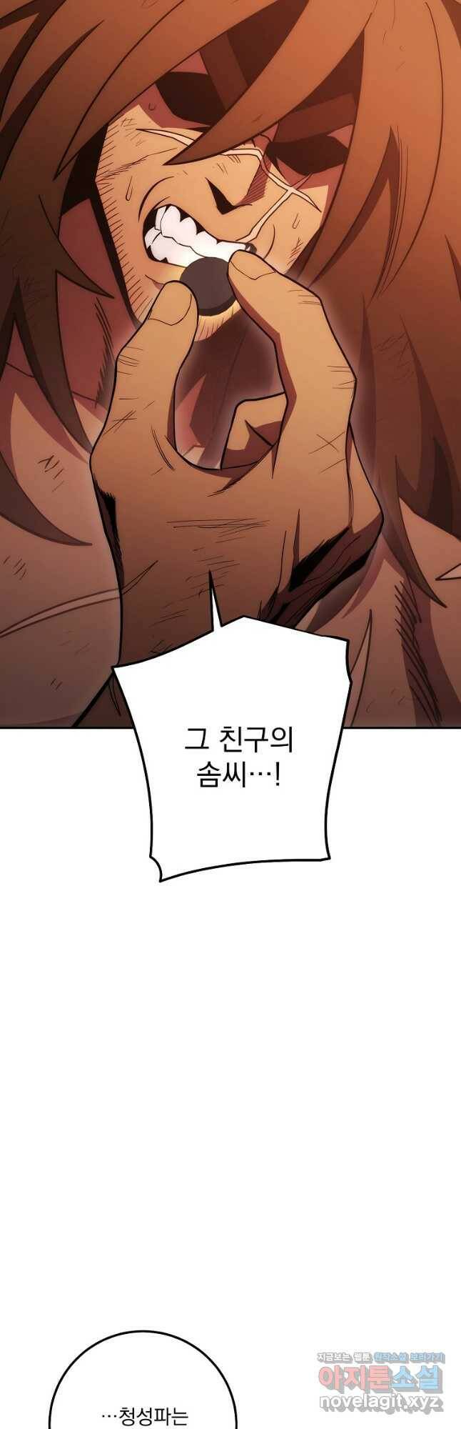 수라전설 독룡 111화 29