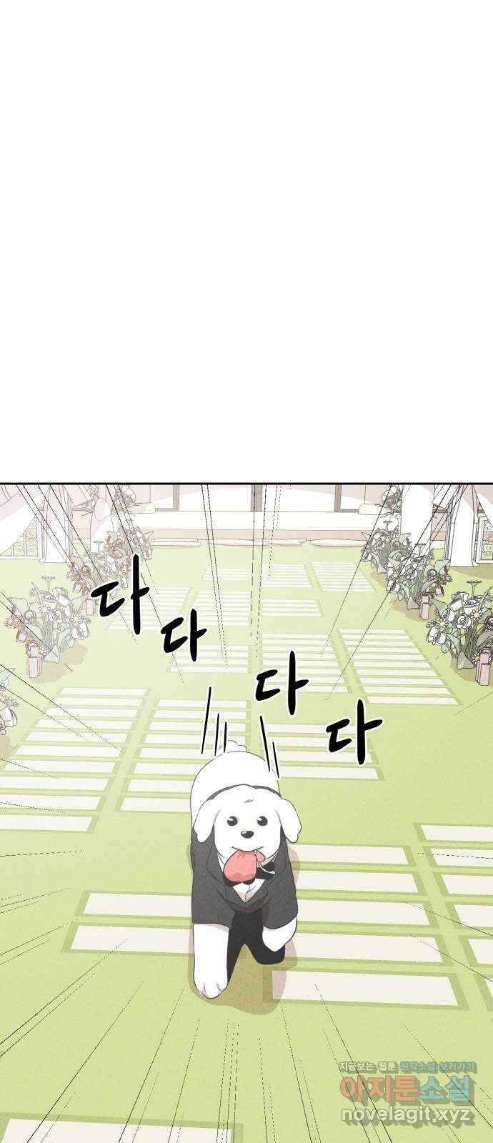 개와 사람의 시간 33화 22
