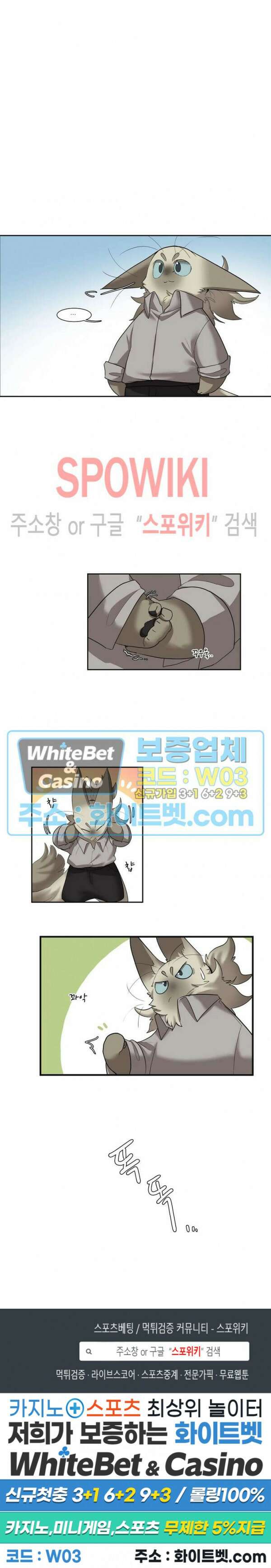 고양이 아가씨와 경호원들 283화 5