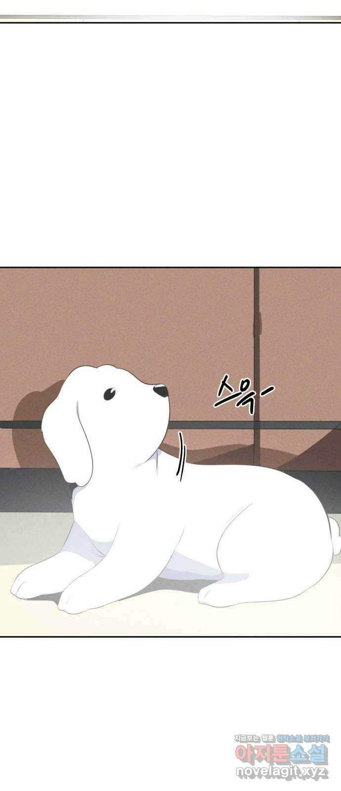 개와 사람의 시간 34화 48