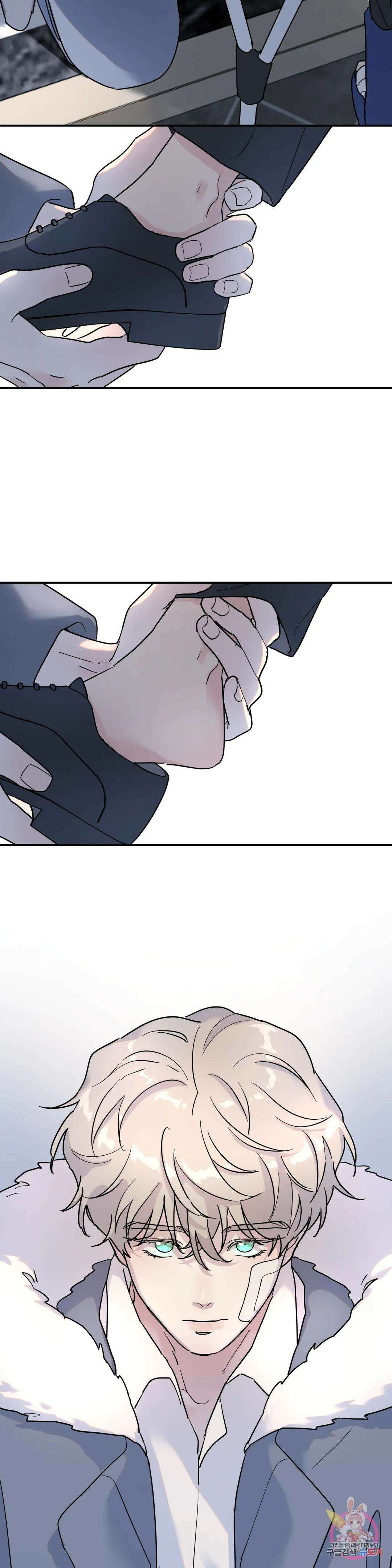 뿌리 없는 나무 11화 13