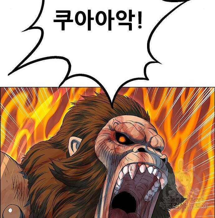 호랑이형님 3부 37화 2