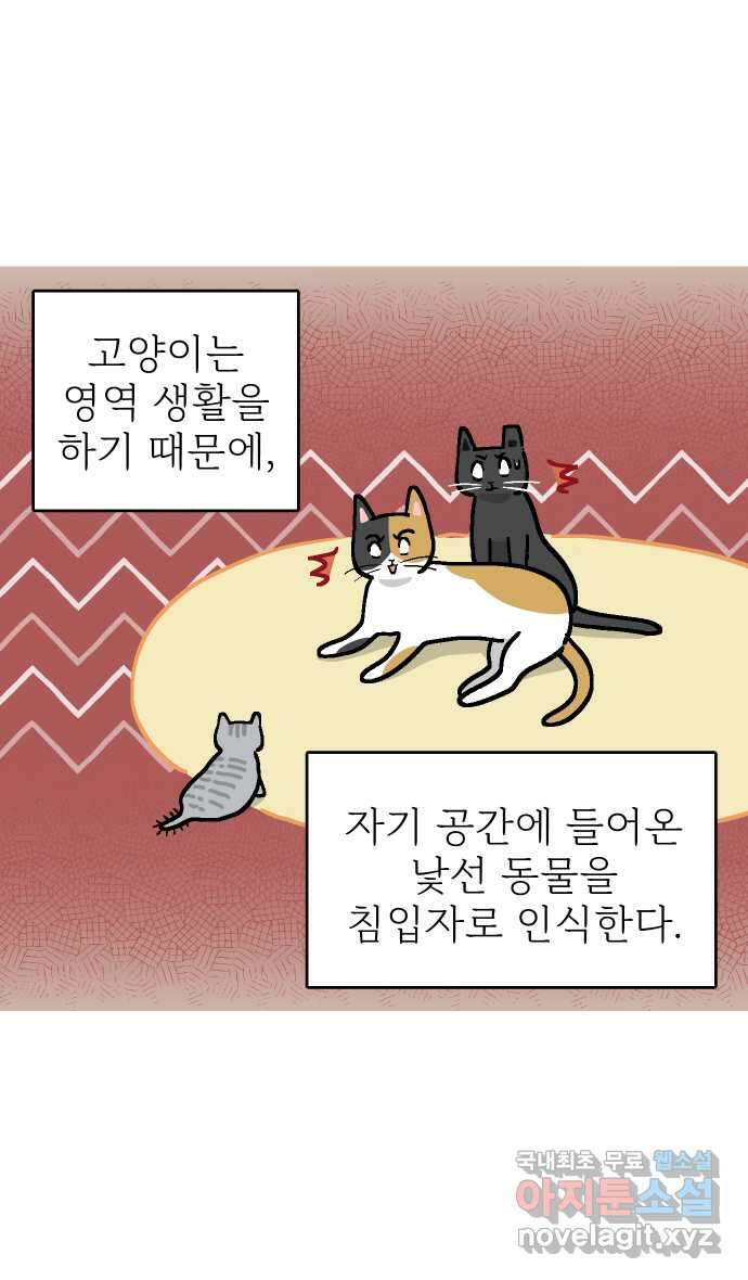 애옹식당 56화 웰컴 베이비(2) 2