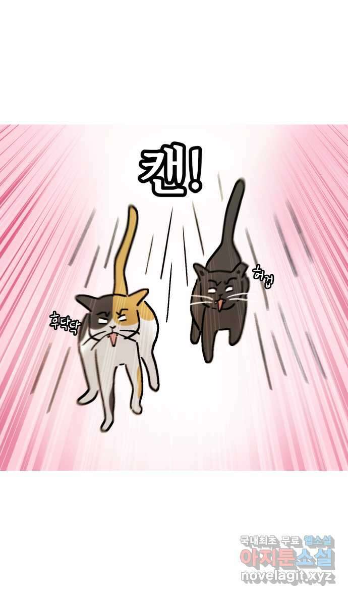 애옹식당 56화 웰컴 베이비(2) 7