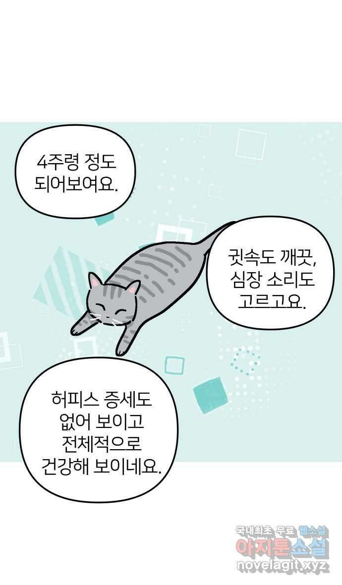애옹식당 56화 웰컴 베이비(2) 13