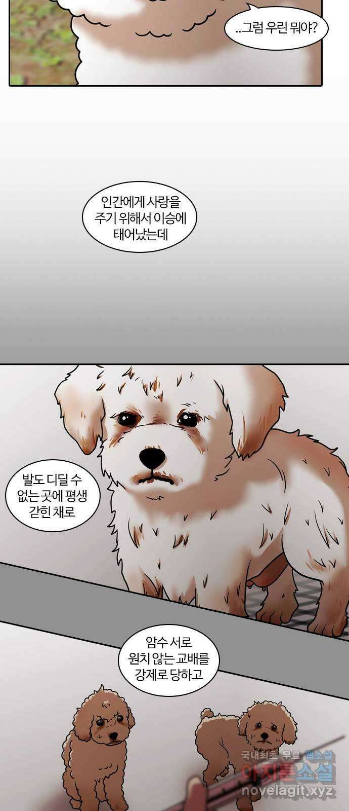 내일 284화 남아주세요 (3) 11