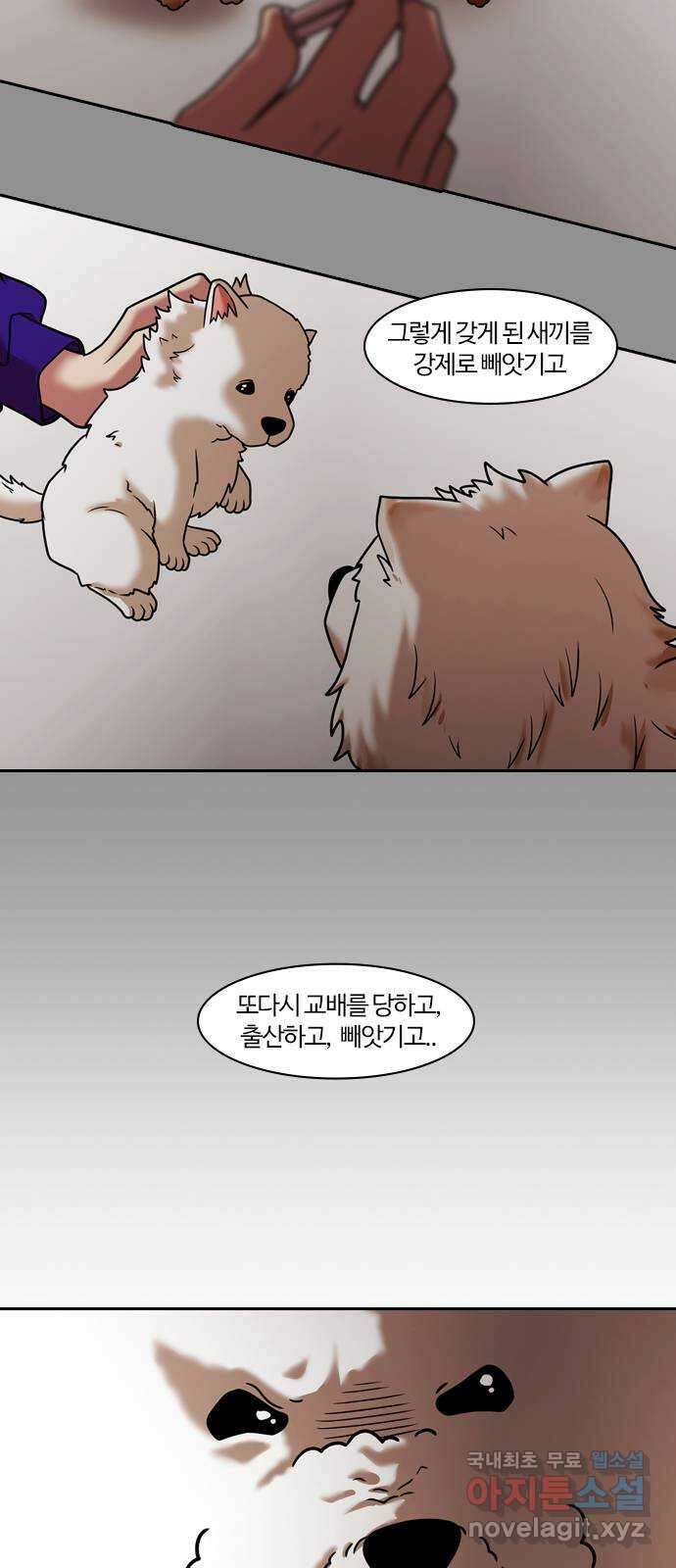 내일 284화 남아주세요 (3) 12
