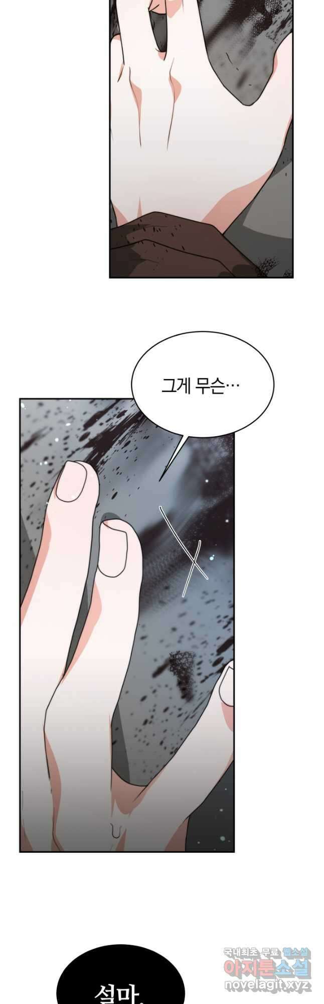 전남편이 남주가 된 것에 관하여 48화 21