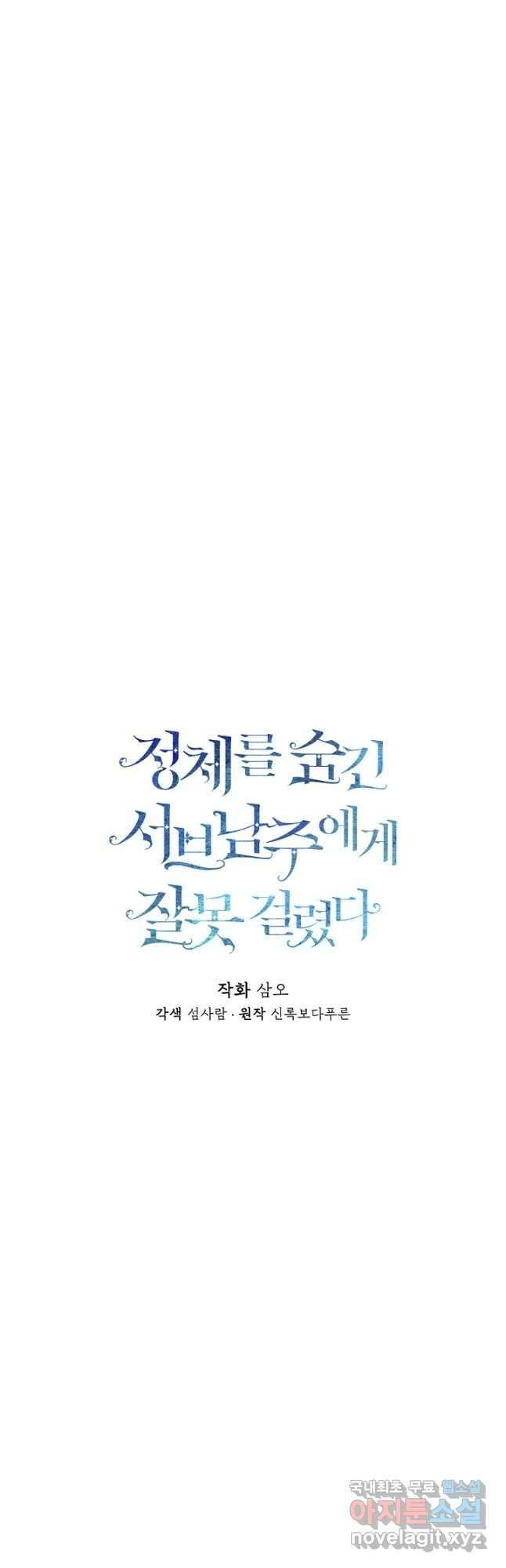 정체를 숨긴 서브남주에게 잘못 걸렸다 27화 5