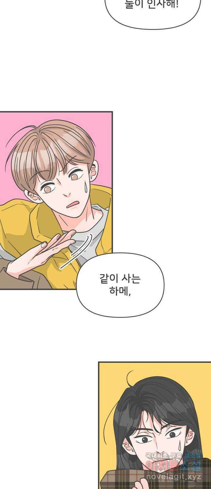 풋내기들 99화 해피 태이 데이 (1) 3