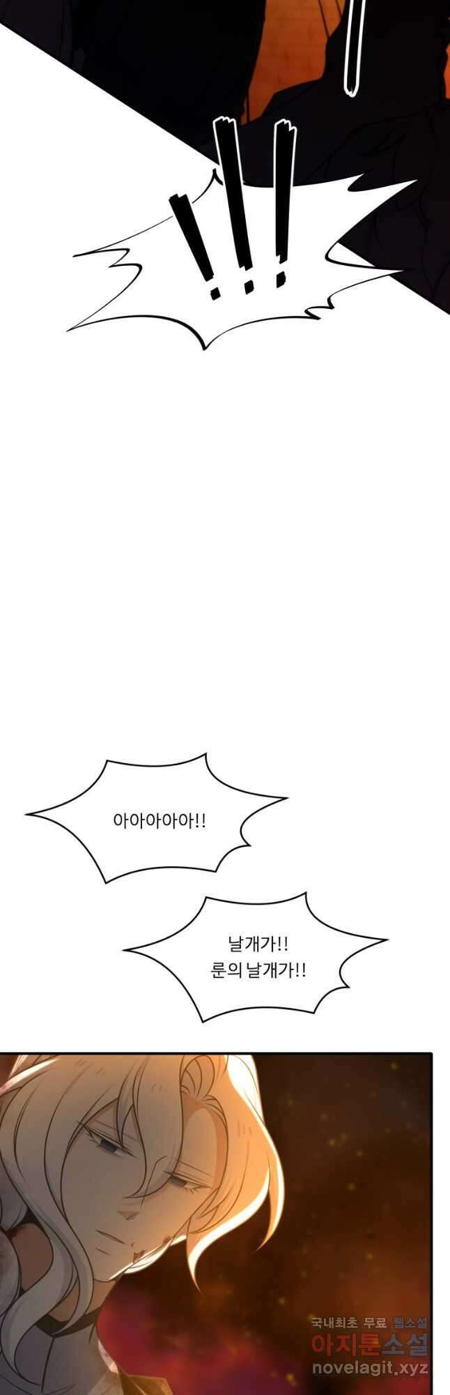 정령왕 엘퀴네스 250화 25