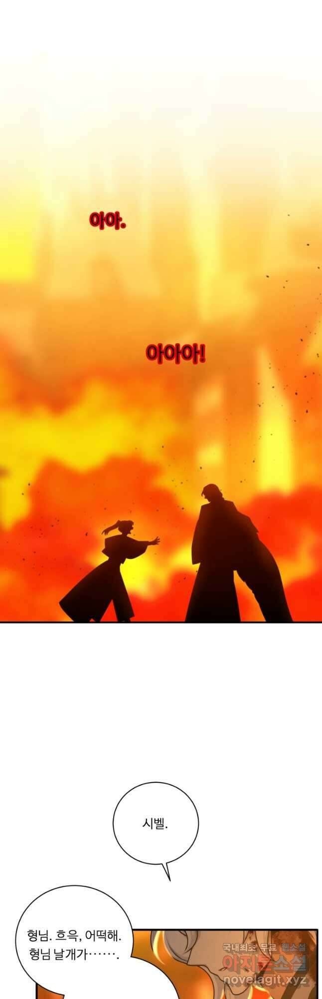 정령왕 엘퀴네스 250화 29