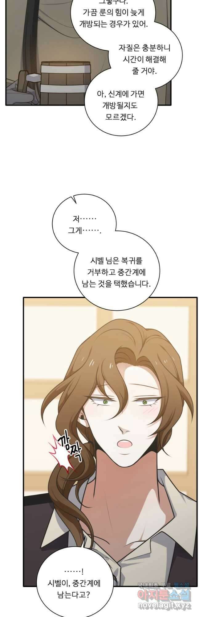 정령왕 엘퀴네스 250화 40