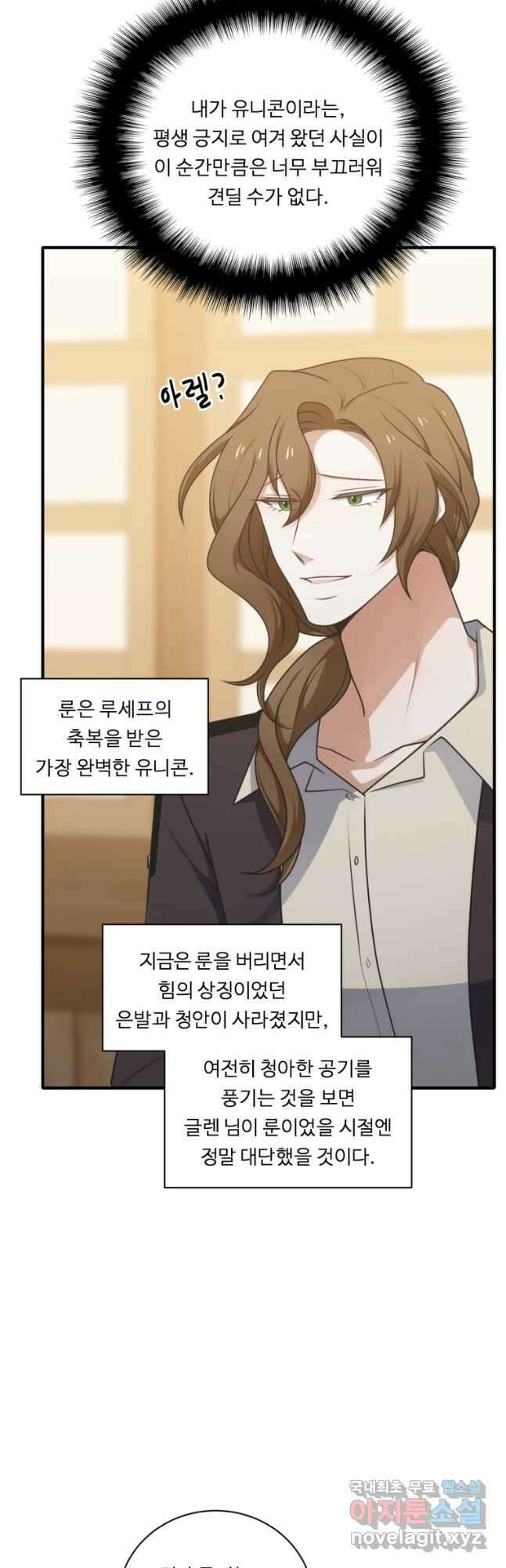 정령왕 엘퀴네스 250화 44