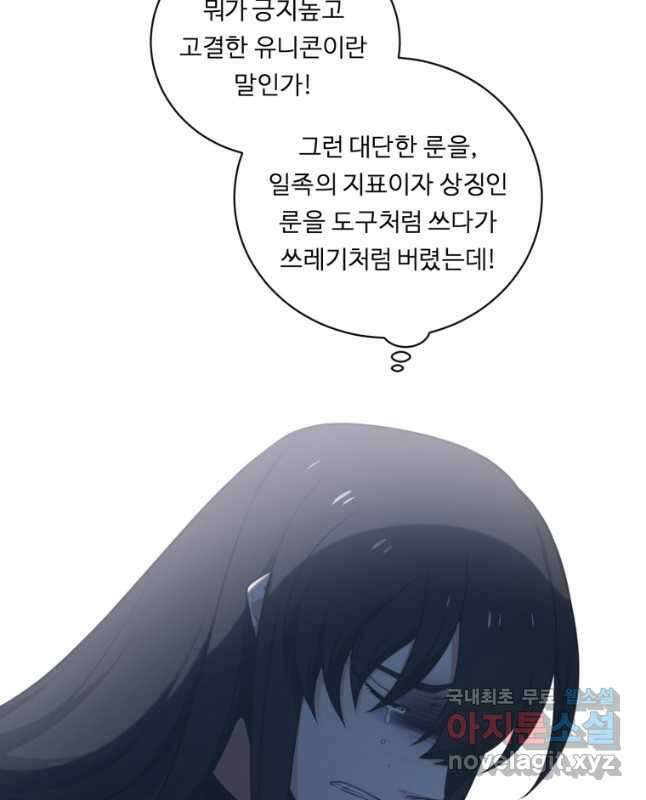 정령왕 엘퀴네스 250화 45
