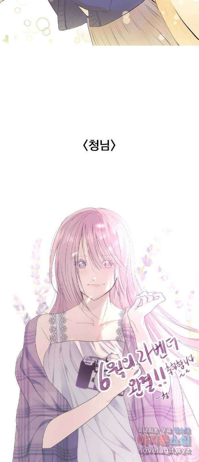 6월의 라벤더 후기 27