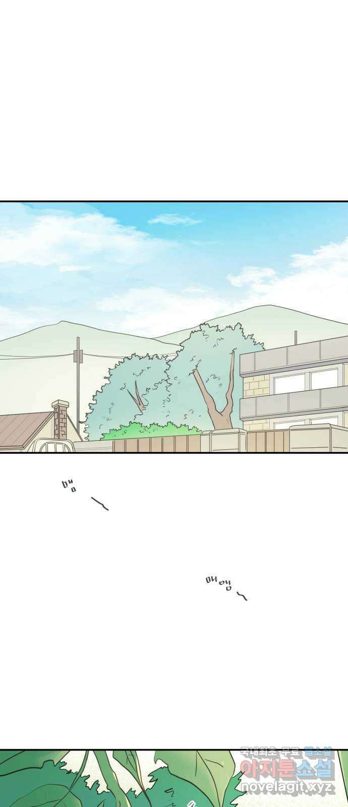 방과후 레시피 49화. 여름 향 (2) 1