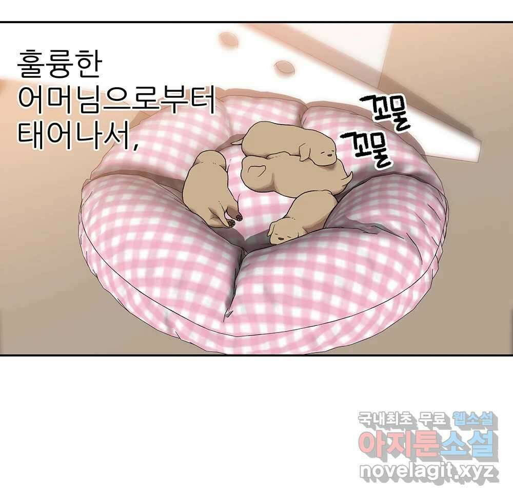 무지개다리 파수꾼 104화 41