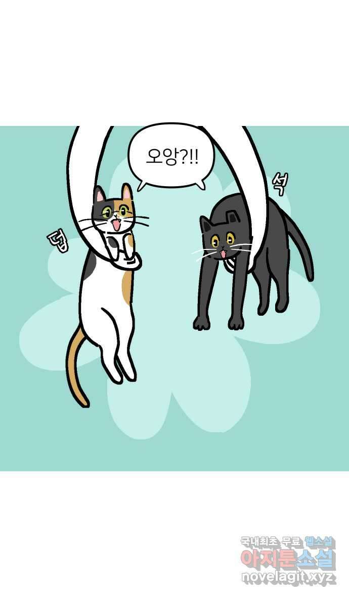 애옹식당 67화 번아웃 김치찌개 14