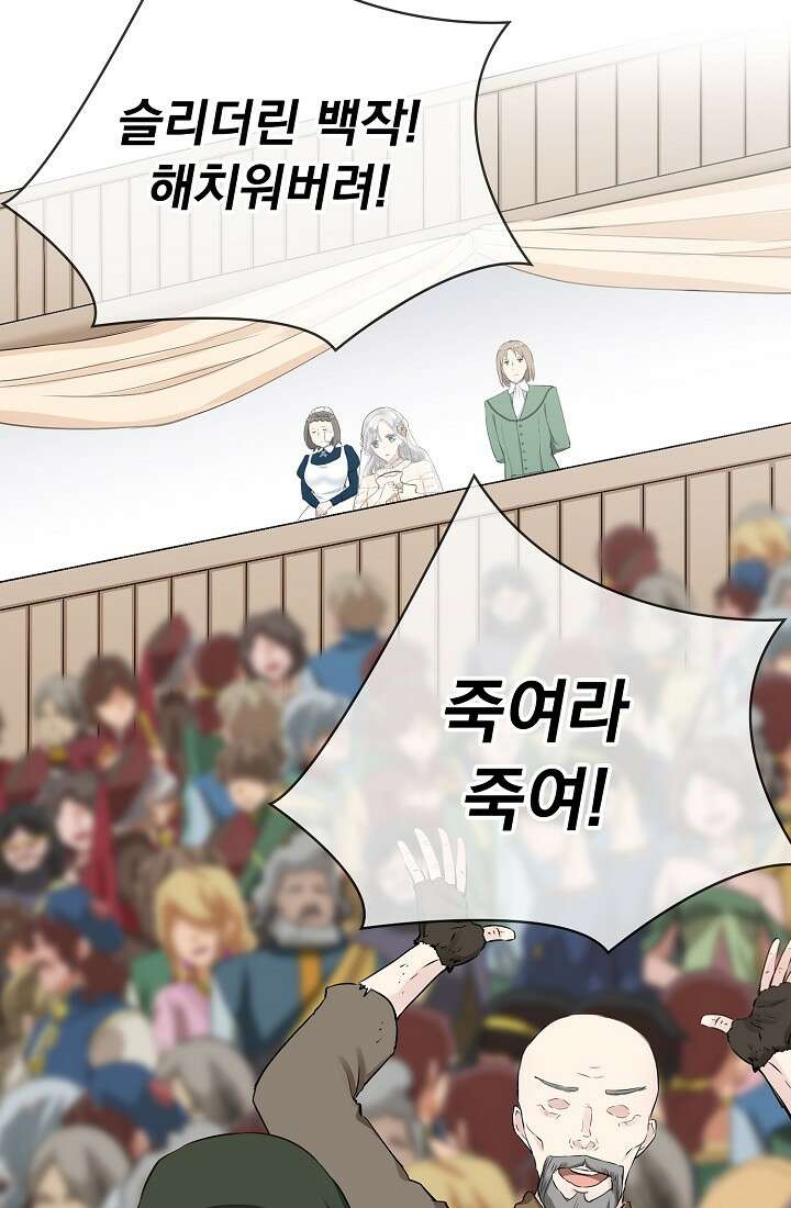 눌리타스 : 절반의 백작 영애 80화 12