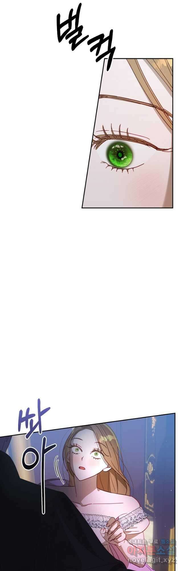 흑막 남편과의 이혼에 실패한 것 같다 47화 2