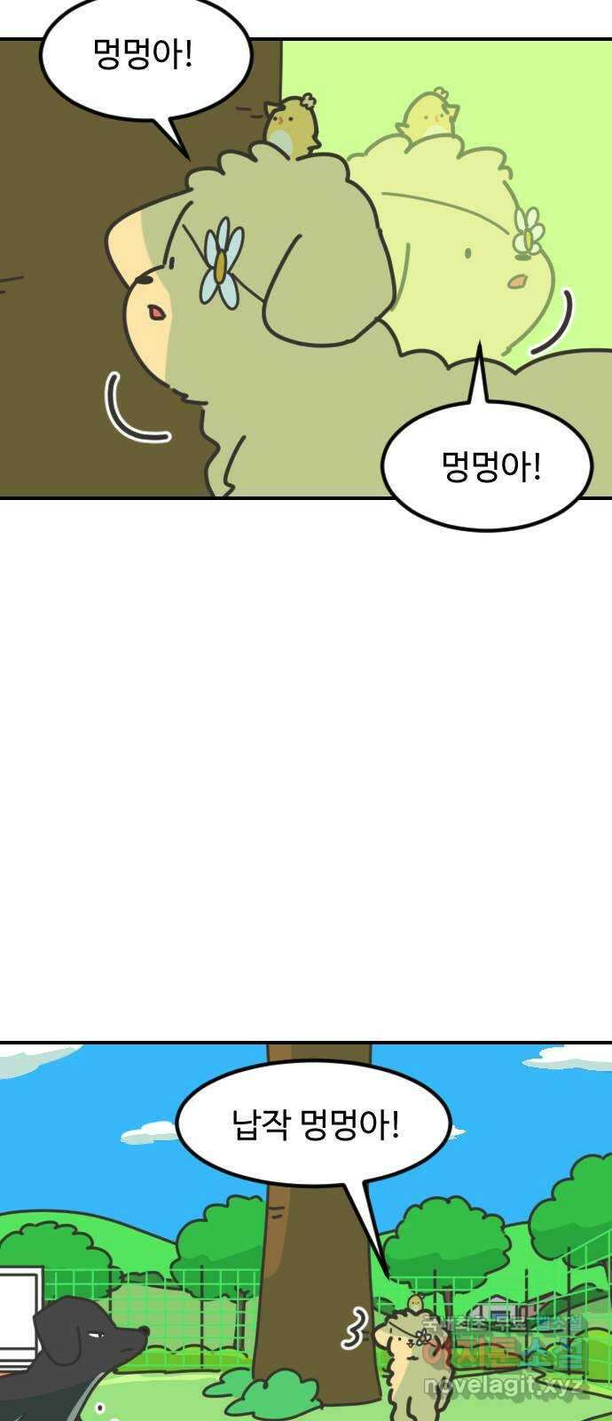 애구애구 22화 2