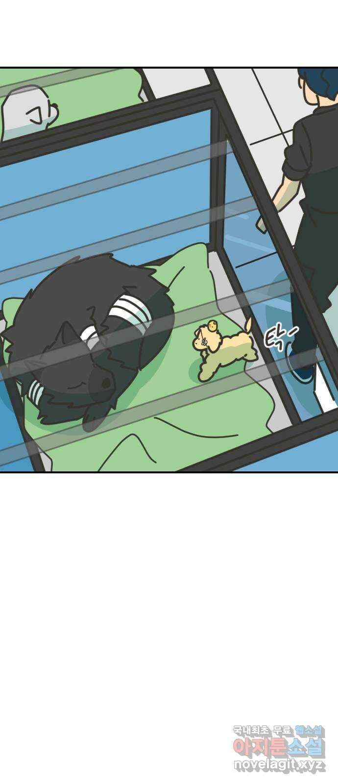 애구애구 22화 8