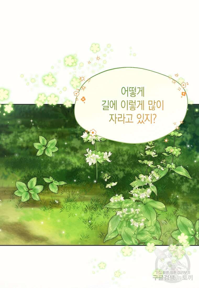 남편을 고를 때는 신중하게 19화 11