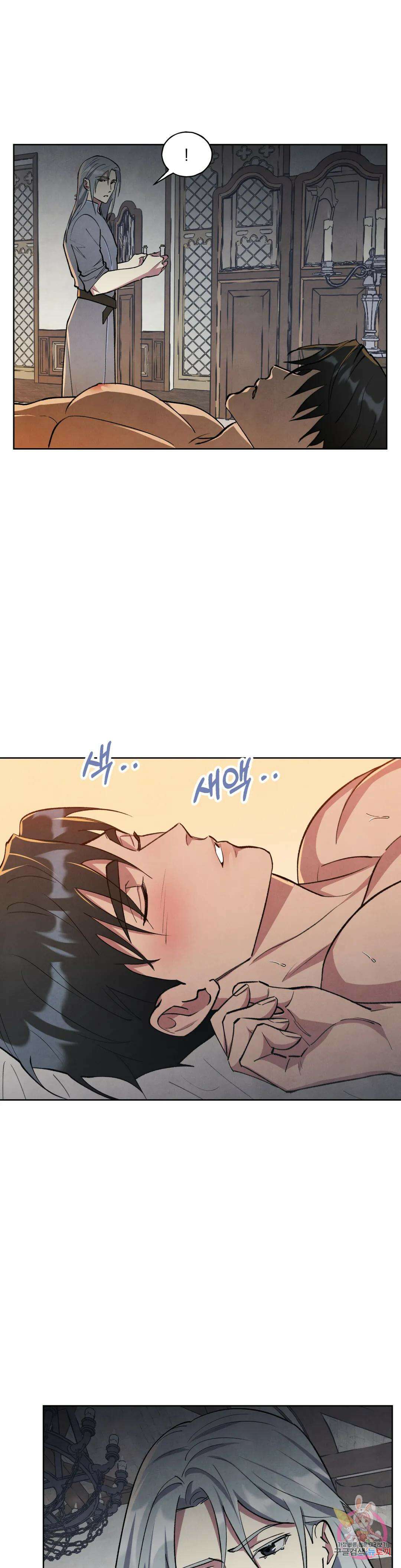북부대공님의 비밀계약 5화 14