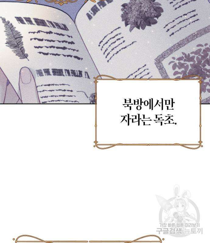 야매 힐러로 사는 법 10화 50