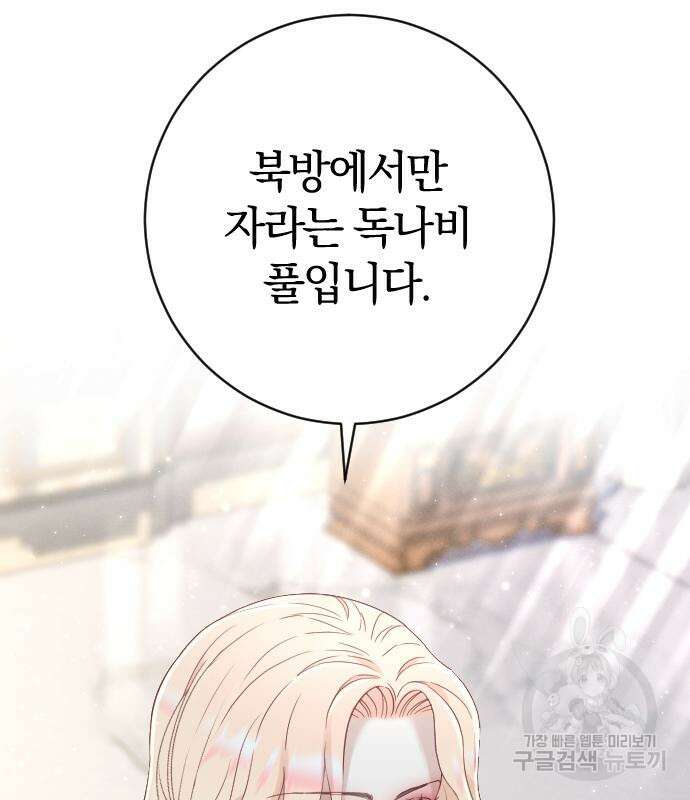 야매 힐러로 사는 법 10화 79