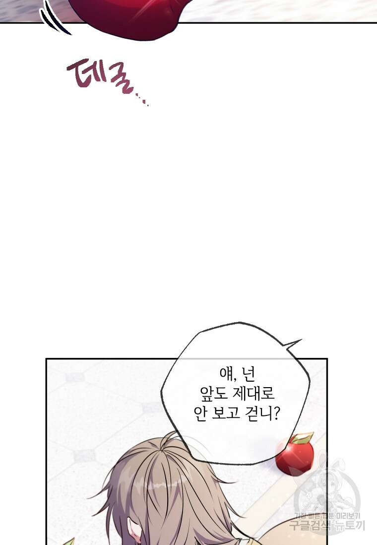 대공가에 입양된 성녀님 3화 13