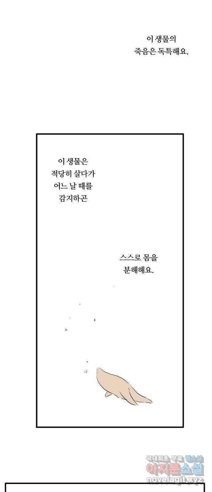 합법해적 파르페 179화 [호수 깊은 곳에 잠들기를] 4
