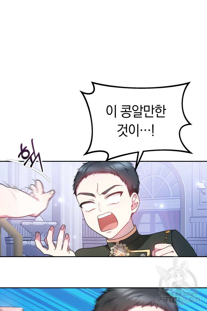 아기 용태자비는 미친놈들을 길들인다 11화 2