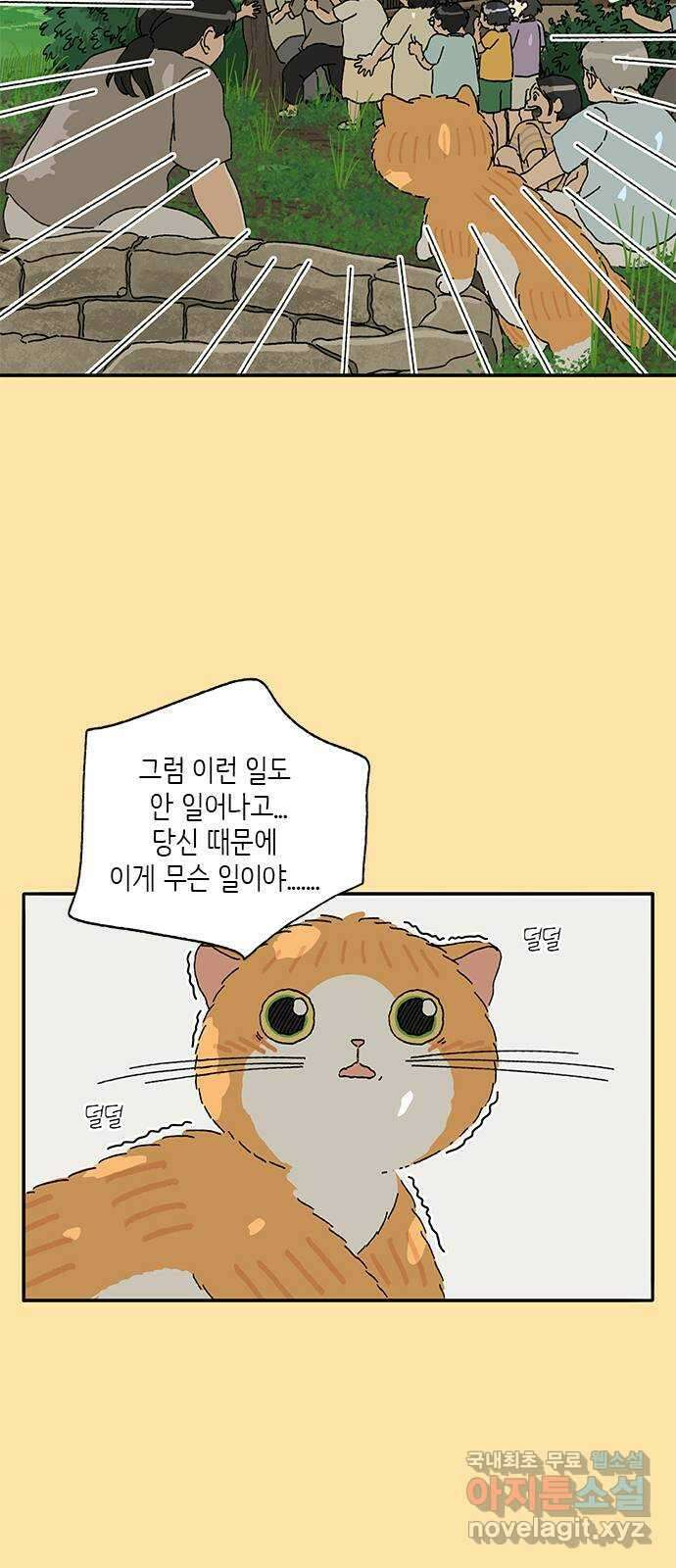 고양이 타타 24화 11