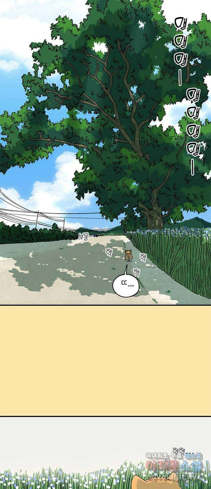 고양이 타타 24화 27