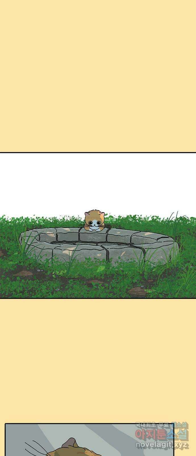 고양이 타타 24화 38