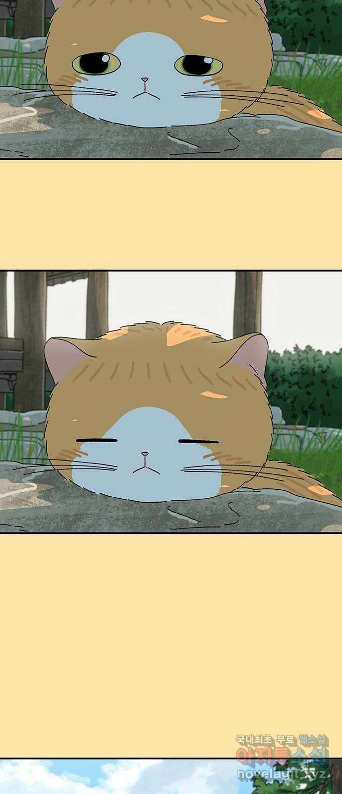고양이 타타 24화 40