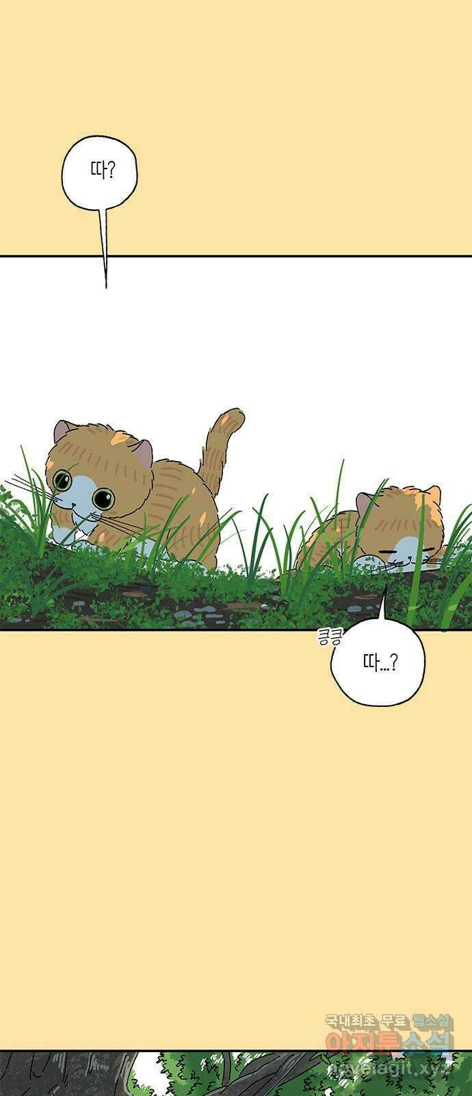 고양이 타타 24화 47