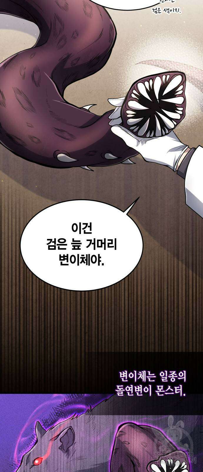 야매 힐러로 사는 법 13화 36