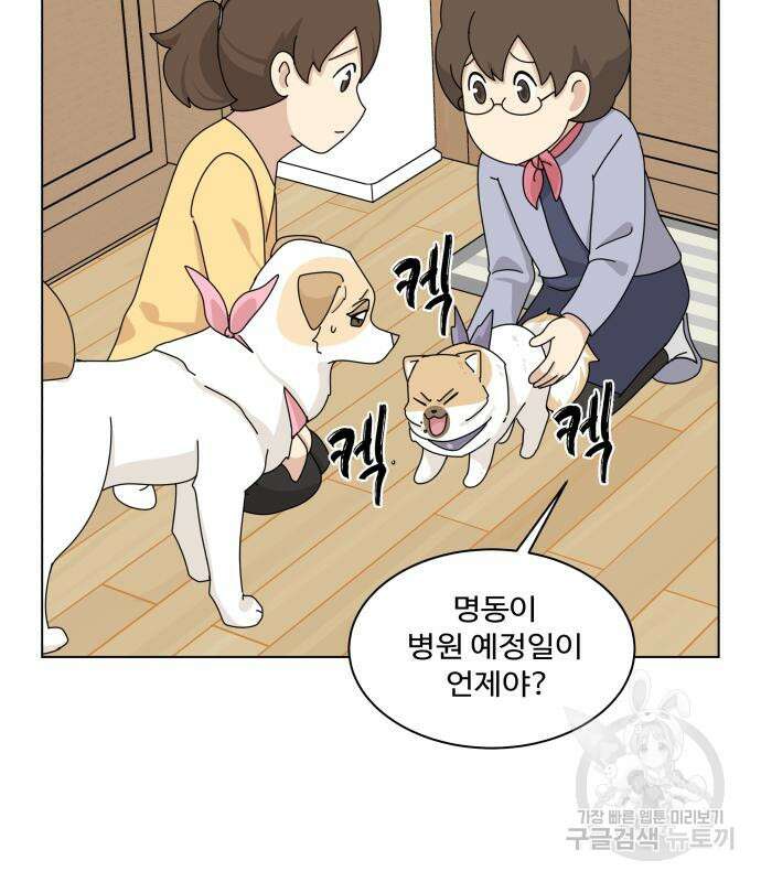 개를 낳았다 시즌2 156화 13