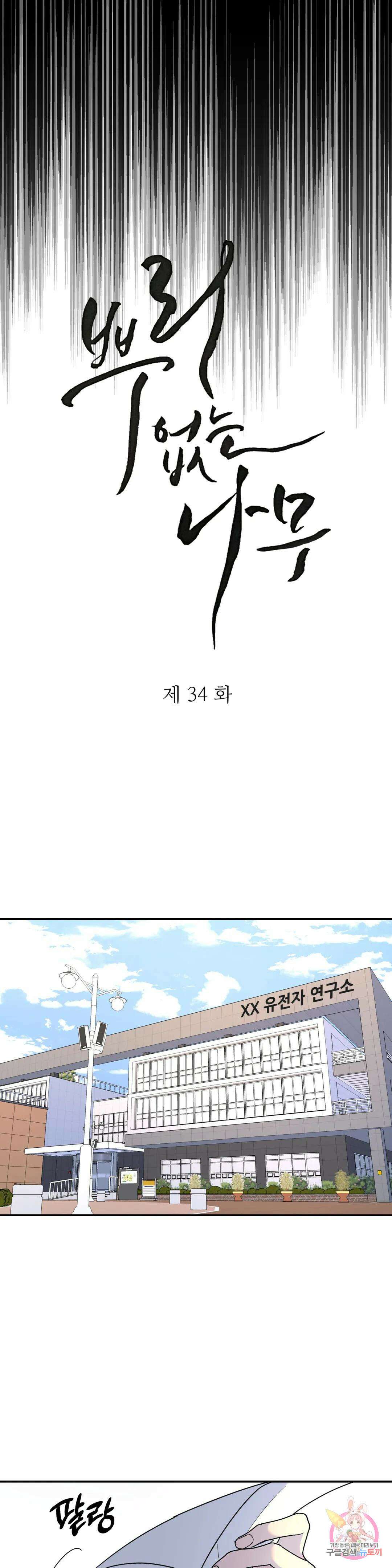 뿌리 없는 나무 34화 3